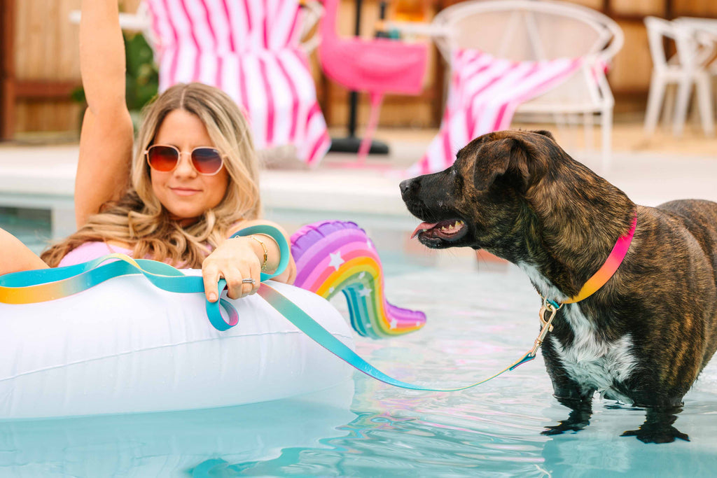 Pippa Waterproof Dog Collar | Swim Dog Collar