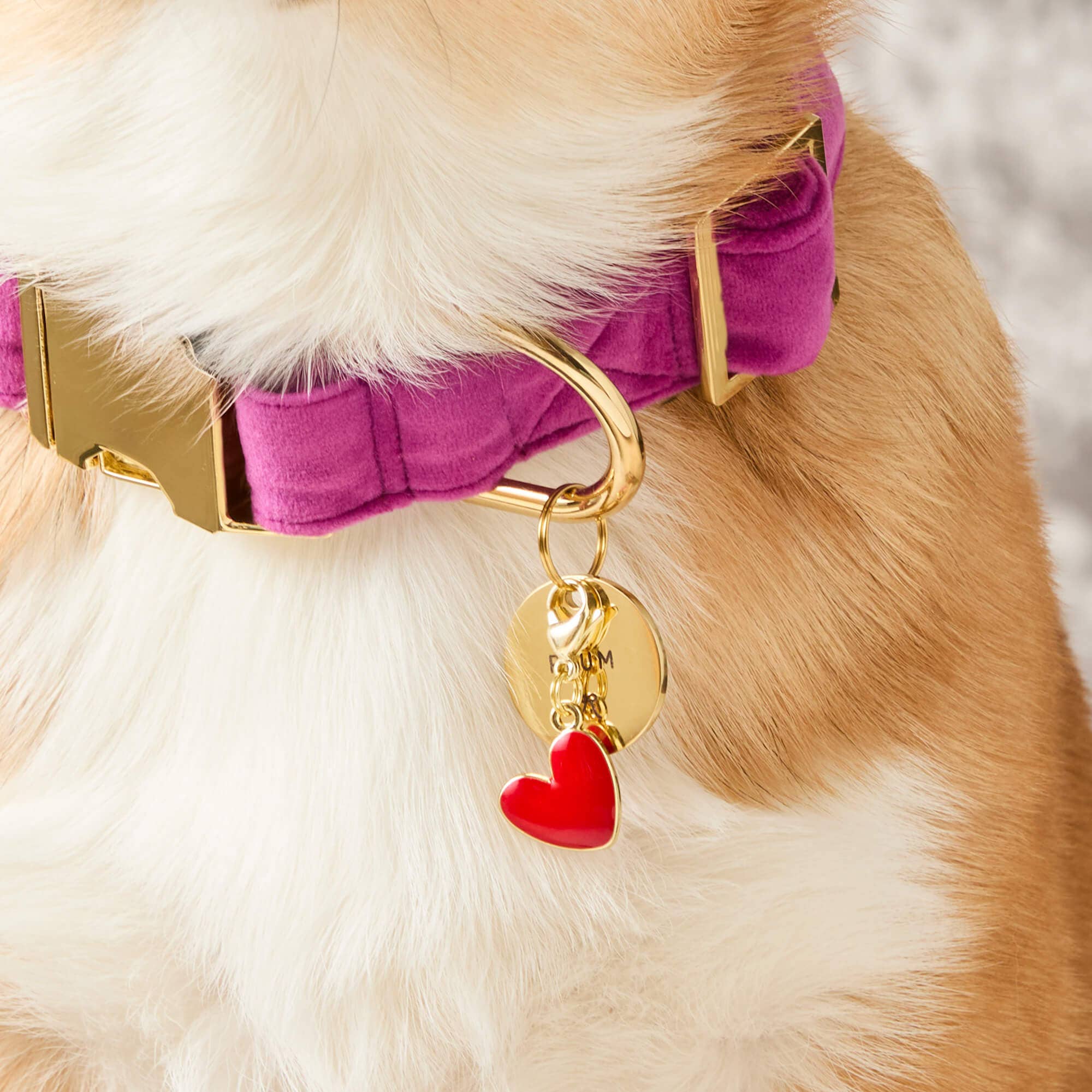 Red Heart Collar Charm