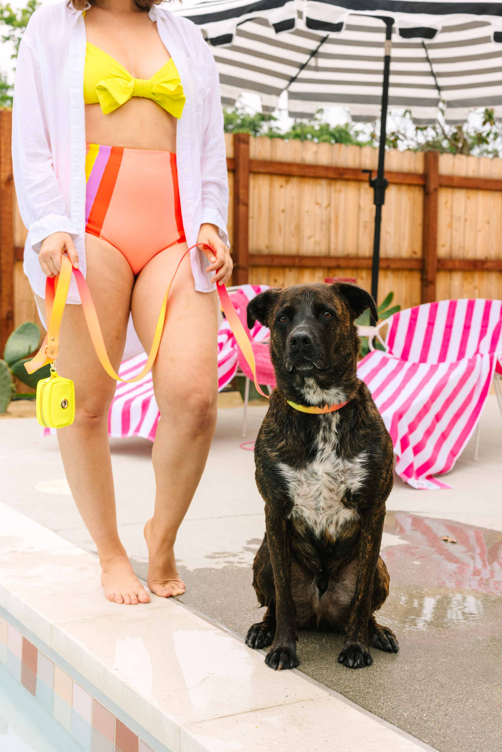 Katelin All Weather Waterproof Dog Leash | Easy Clean Leash