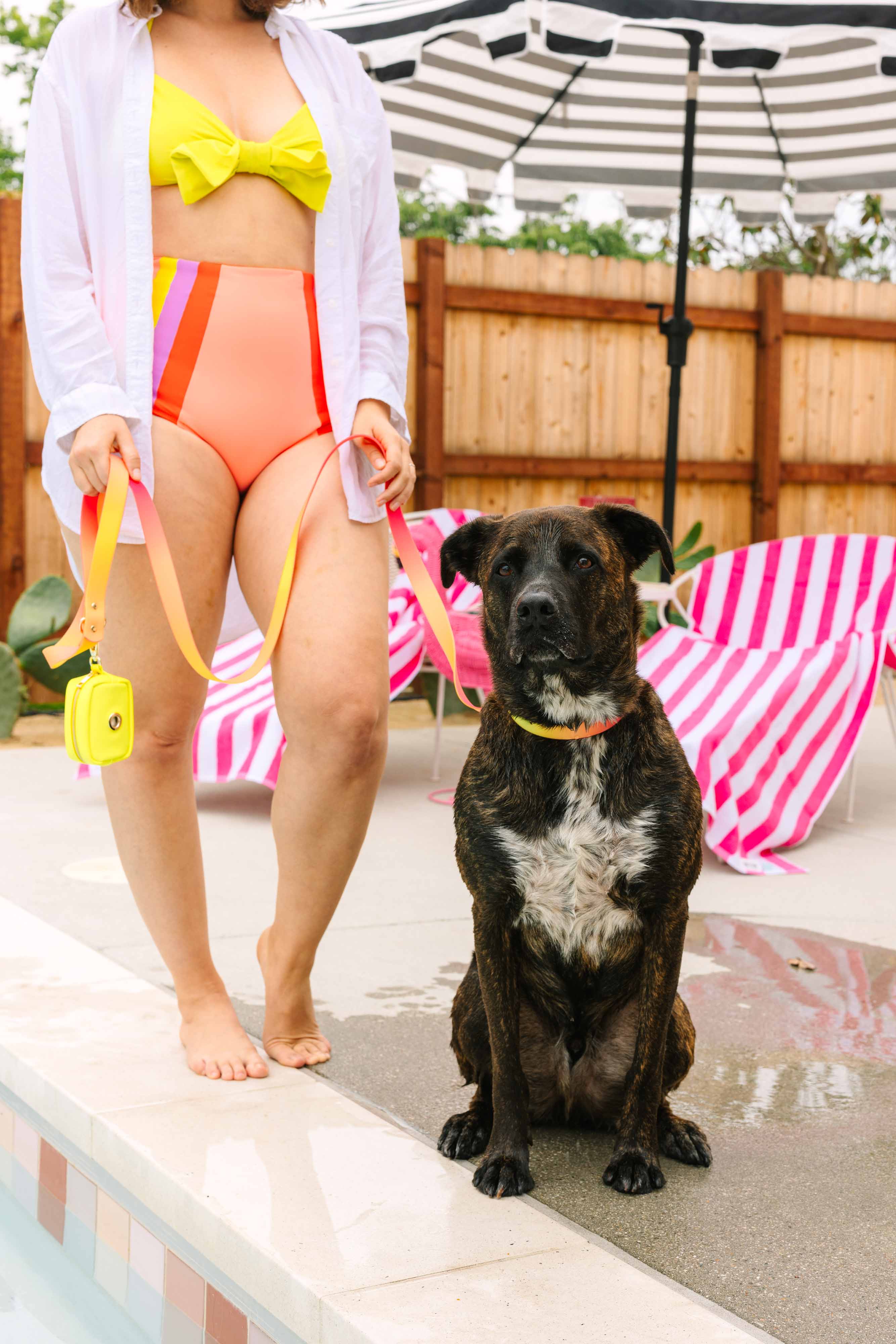 Katelin All Weather Waterproof Dog Leash | Easy Clean Leash