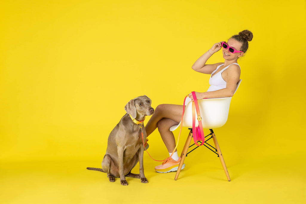 Katelin All Weather Waterproof Dog Leash | Easy Clean Leash