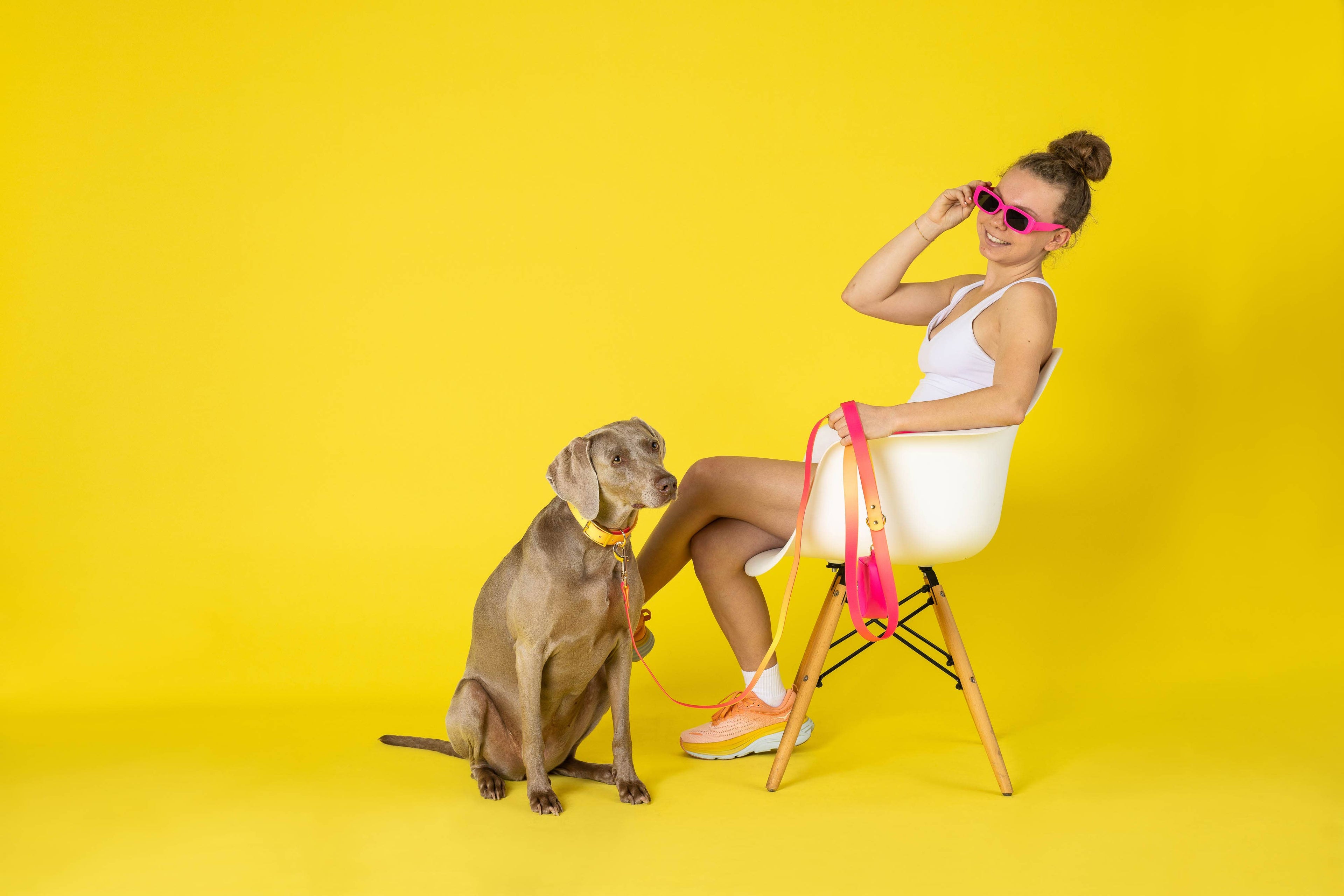 Katelin All Weather Waterproof Dog Leash | Easy Clean Leash