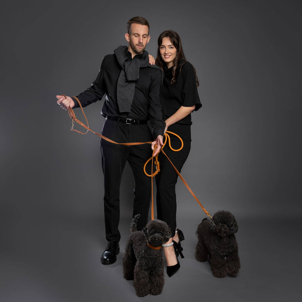 Premium Oil-Waxed Braided Leather Dog Leash - 3 Color Options