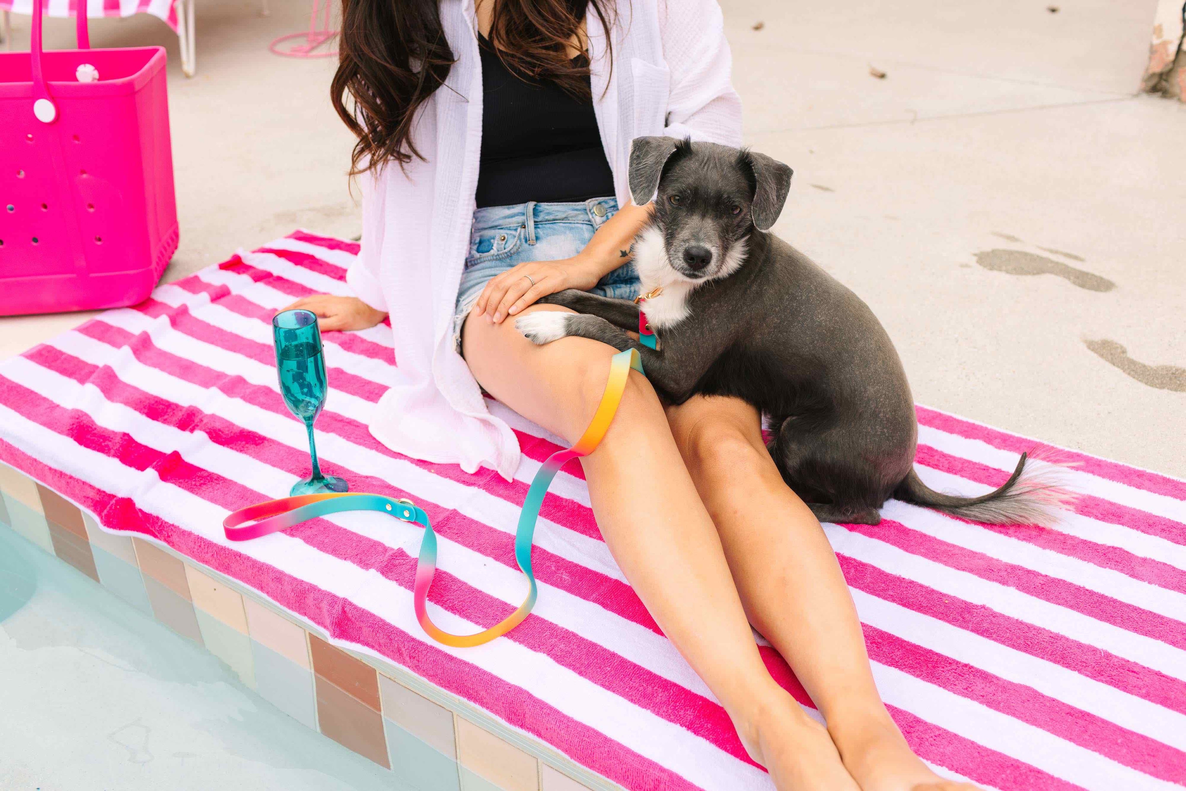 Pippa Waterproof Leash | Waterproof All Weather Dog Leash 