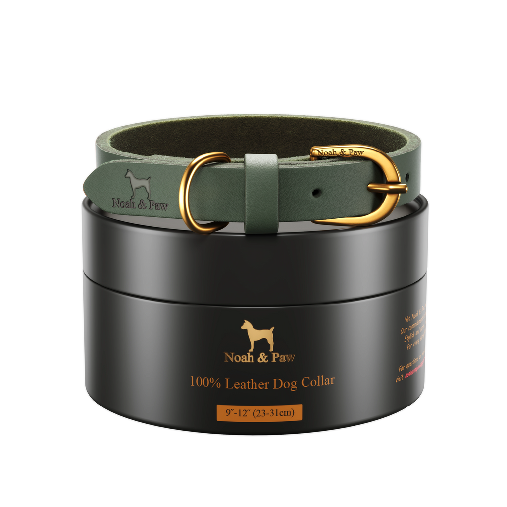 NOAH & PAW Dog Collar, Genuine Leather with Oil-Wax Finish, Heavy Duty Metal Buckle, 4 Color Options
